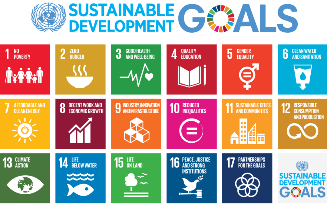 SDG-Mapping mit der Karte von morgen